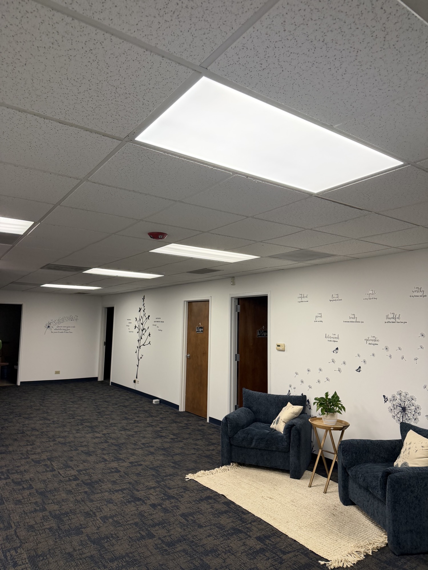 2x2 and 2x4 office lighting