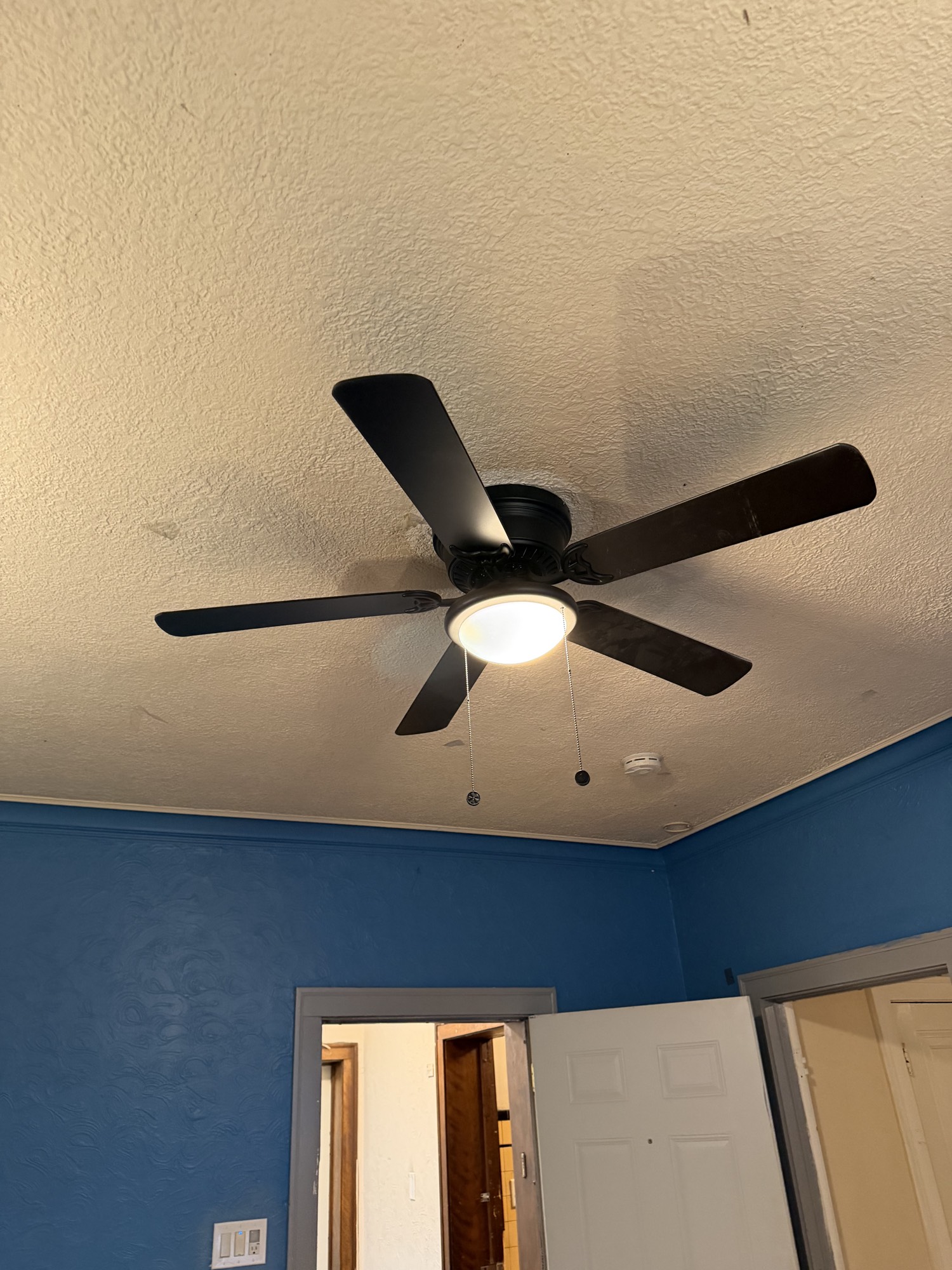 Ceiling fan